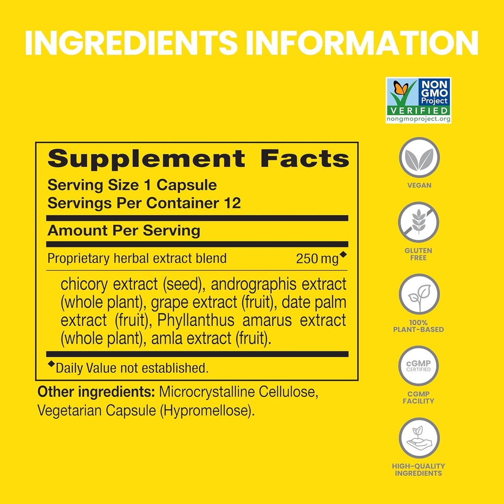 Himalaya PartySmart, 12 Capsule Tube - Alkohol Breakdown Liver Dukungan untuk Better Morning After Drink - Plant Based, Vegan, Non-GMO, Gluten Free, Clinically Studied (Pack of 2)