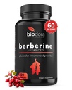 Berberine Advanced Plus dengan 1200 mg Berberine - 100mg Ceylon Cinnamon dan 100mg Green Tea Extract - 1400mg Per Dose -120 Capsules - 60 Hari Supply - Support Imune dan Kardiovaskular