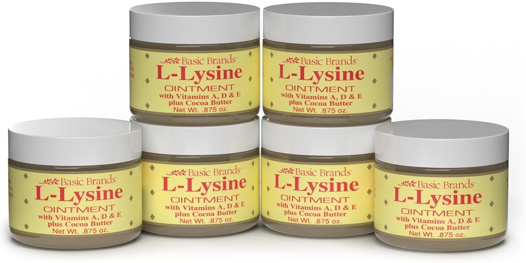 Dasar Brands - L- Lysine Oques- 0.875 oz - Lysine Cold Sore Treatment and Blister Relief - Soothes Chapped Lips dan Dry Skin - 6- Pack