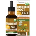 Dandellion Root Extract Drops, Diente de Leon Organico Hierba, Dandelion Suplement Formula w / Milk Thistle Turmeric untuk Detox Cleanse, Ditraffic & Imune Dupport, Alcohol- Free Tincture. 2oz