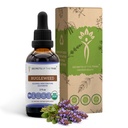 Bugleweed USDA Organik 124; Alkohol- Ekstrak FREE, Tinggi Potency Herbal Drops, Respiratory System 124; Dibuat dari 100% Certified Organic Bugleweed (Ze Lan, Lycopus Virginicus) Fried Herb (2 FL OZ)