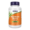 KNOW Foods Suplemen, Hawthorn Berry 540 mg, Free Radical Scavenger *, Herbal Suplemen, 100 Veg Kapsul