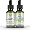 Benevolent Chlorofil Liquid Drops + Irish Sea Moss Drops 2oz, 4 Bulan Supply Liquid Chlorofil Tambahan untuk Internal Deodorizer & Radiant Skin