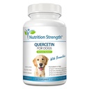 Quercetin untuk Dogs dengan Bromelain untuk mendukung Balanced Immune System, Relief Inflammatory Proceur & Antioksidant Activity, Quercetin untuk Dog Allergies, 120 Pallet Chewable