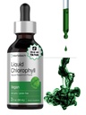 Horbäach Liquid Chlorophyll Drops 12.4; 2 oz 124; Vegan, Non-GMO, dan Gluten Free Formula 124; Natural Peppermint Flavor