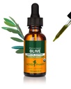 Herb Pharm Certified Organic Olive Leaf Extract for Imune System Support - 1 Ounce
