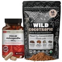 DailyNutra KSM 66 Ashwagandha (90 Capsules) dan Mushroom Cacao Mix (16oz) Bundle untuk Relaksasi dan Fokus
