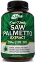 NutriFlair Saw Palmetto Extract 750mg, 120 Capsules - Suplemen Prostate & Berry Kesehatan Alam - Membantu Blok DHT untuk Mencegah Rambut Kehilangan dan Membantu Mengurangi Penentuan, untuk Perempuan dan Pria