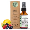 ZINC Boost Mist 40 mg (Ekstra Kekuatan) - Gula Bebas dengan Vit C dan Elderberry Ekstrak - Vegan Liquid Spray untuk Anak-anak dan Dewasa - Pelan2 Absorpsi - Non-GMO - (60 ml) 60 Hari Tambahan
