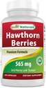 Terbaik Sastra Hawthorn Berry 565 mg 180 Capsules (180 Cacah (Paket 1)))