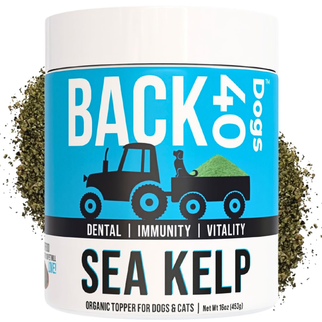 Powder organik Kelp untuk Anjing, Suplemen Laut Kering Kelp untuk Fungsi Thyroid, Kesehatan Dental, Dukungan Ammune, Divalry, Skin & Coat - Iodium Kaya - Multivitamin untuk Kucing & Dogs 16oz - Dibuat di Amerika Serikat
