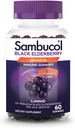 Sambucol Black Elderberry Gummies - Elderberry dengan Zinc dan Vitamin C untuk Dewasa, Sambucus Gummies, Dukungan Imune - 60 Count