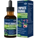 Cleavers Lymphatic Drainage Drops for Lymph System Detox Cleanse, Lymphedema Support Formula w / Echinacea, Cat 's Claw, Red Clover Extract Tincture, Gunakan dengan Alat Pijat Lymph. 2oz