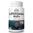 1600 mg Lipomal NAD Support, 98% Pure NAD + Superior Absorpsi, Alternatif untuk Nicotinamide Ribside atau NADH ke Boost NAD + untuk Aging Pertahanan, Energi, Umur Panjang, 60 Softgeels