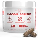 Fadogia Agrestis 100mg Per Serving Suplement - Aggest Extract to Increase Energy, Atletic Performance & Muscle Mass - Suplemen, Dibuat di Amerika Serikat (60 Capsules)