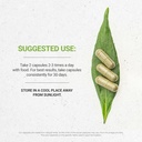 Rahasia Suku Thyme 120 Capsules, Dibuat dengan saus Sayur dan Thymus Vulgaris Toni Effect (120 Capsules)