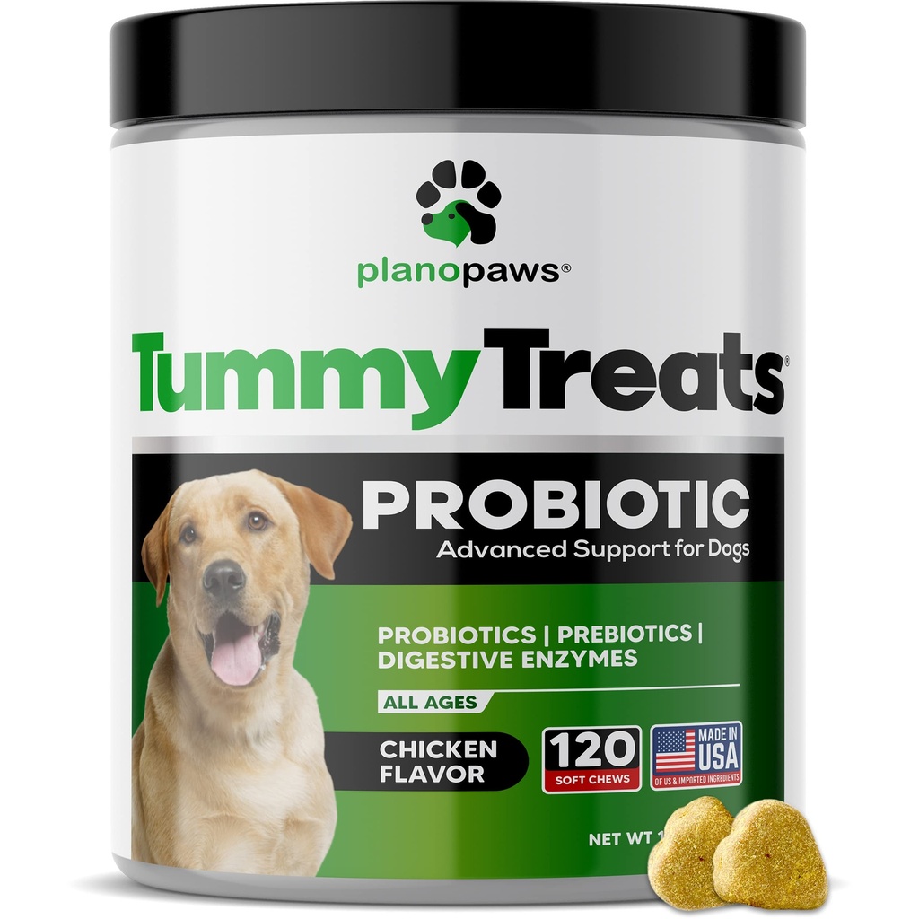 Unsur Alergi untuk Anjing - Probiotik Kesehatan Anjing - Obat Semprot Anjing