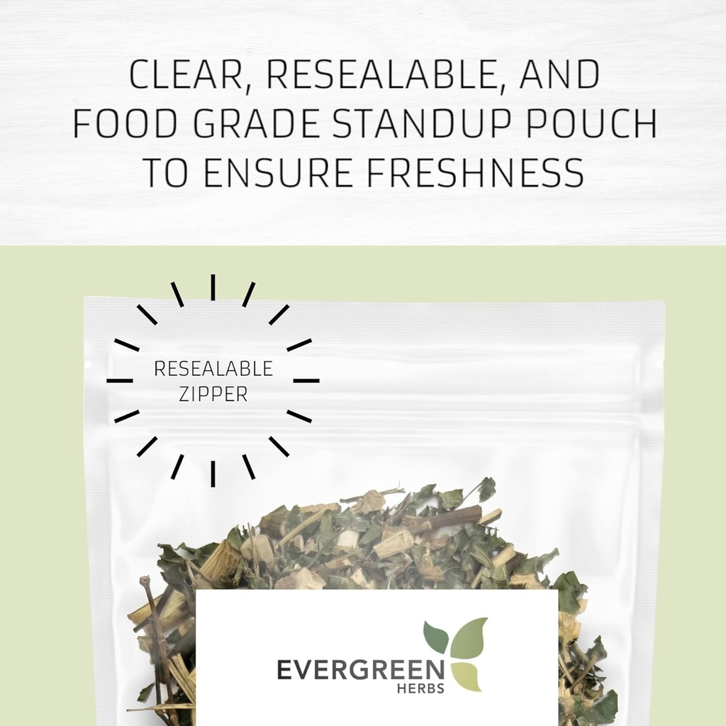 Evergreen Herbs Cuachalalate Herb (Amphipetyglum Adstringens) - Steal Stand Up Pouch to Ensure Freshness! (Tea Bags)