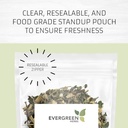 Evergreen Herbs Cuachalalate Herb (Amphipetyglum Adstringens) - Steal Stand Up Pouch to Ensure Freshness! (Tea Bags)