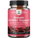 Suplemen Kesuburan Untuk Wanita dengan Multivitamin Prenatal - Dukungan Kesuburan Perempuan dengan Kosilitas Prenatal Inositol Memadal Chasteberry dan Fertilitas KoQ10 Kembung Bagi Perempuan Untuk Konsep Lebih Cepat Processly