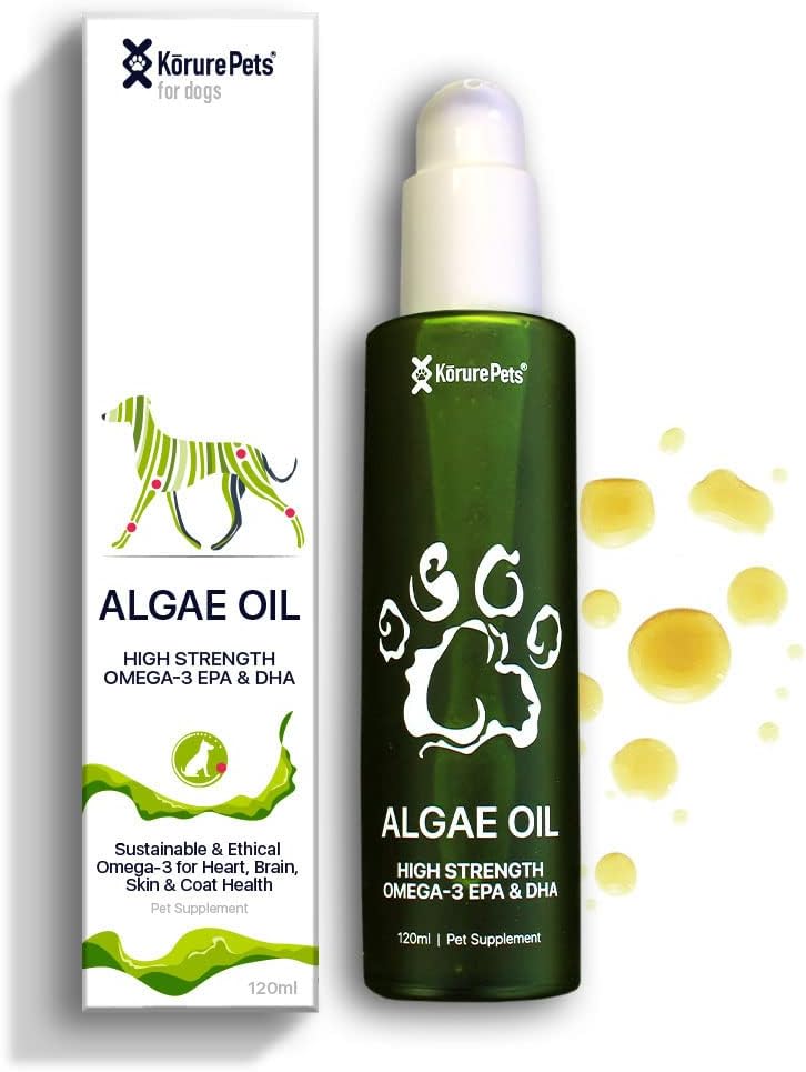 Omega 3 untuk Dogs, Skin dan Coat Suplemen untuk Dogs, Algae Oil, Alternative Fish Oil untuk Dogs, Allergy and Dog Itch Relief, Supplemen Anjing Anti Slowing, Perawatan Dog Dry Skin, dari Selandia Baru 120ml