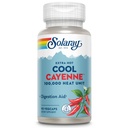 SOLARAY Ekstra Hot Cool Cayenne 100.000 HU - Tradisional Folk Remedy dan Ditraffic Aid - Proses Bio-Cool - Lab Verifikasi, Fasilitas GMP, Jaminan 60- Hari - 45 Hamba, 90 VevCaps