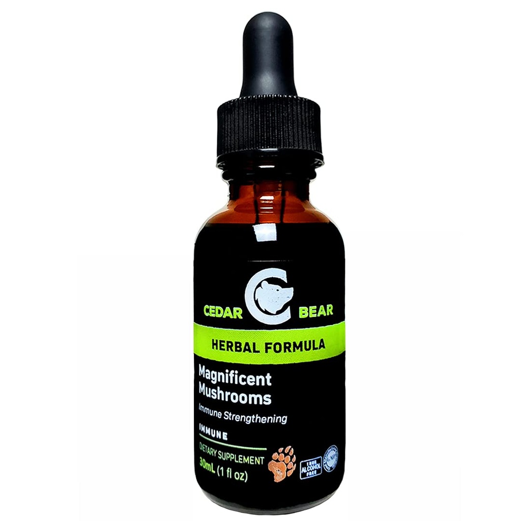 Cedar Bear Mashroom Magnificent a Cair Herbal Supplement That Builds The Immune System, Protects, Strengthens and Ballances Overall Health 1 Fl Oz