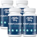 1500 MG Detox dan Cleanse, Detox Tubuh untuk Pria & Perempuan, Detox Cepat, Kitney Cleanse Detox & Repair, Natural Herbal Premium Formula Mula untuk Liver, Tract Urinary, Diboth & Mood, dibuat di USA, 240 Caps