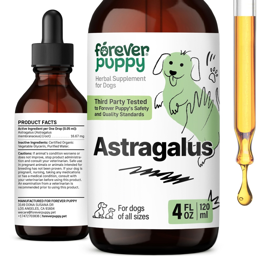 Astragalus Puppy Astralus Root Drops for Dogs - Astragallus Membranaceus Extract for Dogs 'Ammune Support - Herbal Pet Liquid Suplemen & Joyful Pet Care