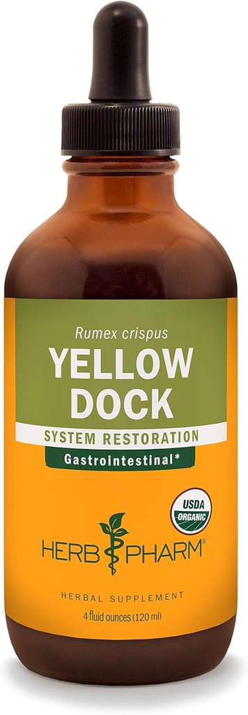 Herb Pharm Yellow Dock Cair Ekstrak untuk Digetical System Support - 4 Ounce