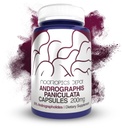 Andrographis panik Capsules 124; 200mg 124; 60 Count 124; 50% Andrographolides 124; Mendukung Fungsi kekebalan 124; Mendukung Fungsi Sel