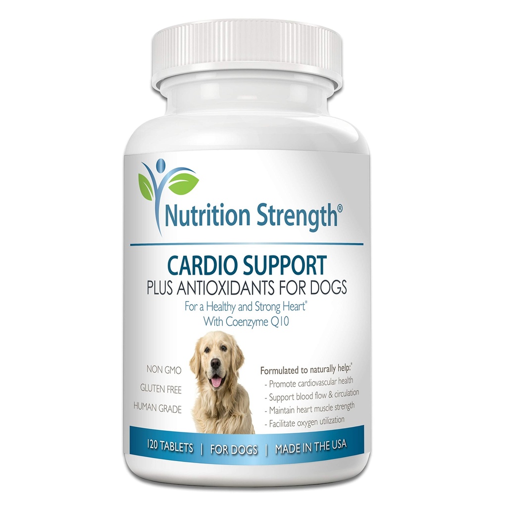 Dukungan Cardio untuk Dogs Plus Antioksidant, L-Carnitine, L-Taurine, dengan Koenzim Q10 dan Vitamin E, Promeses a Health and Strong Dog Heart, 120 Cable Tablet