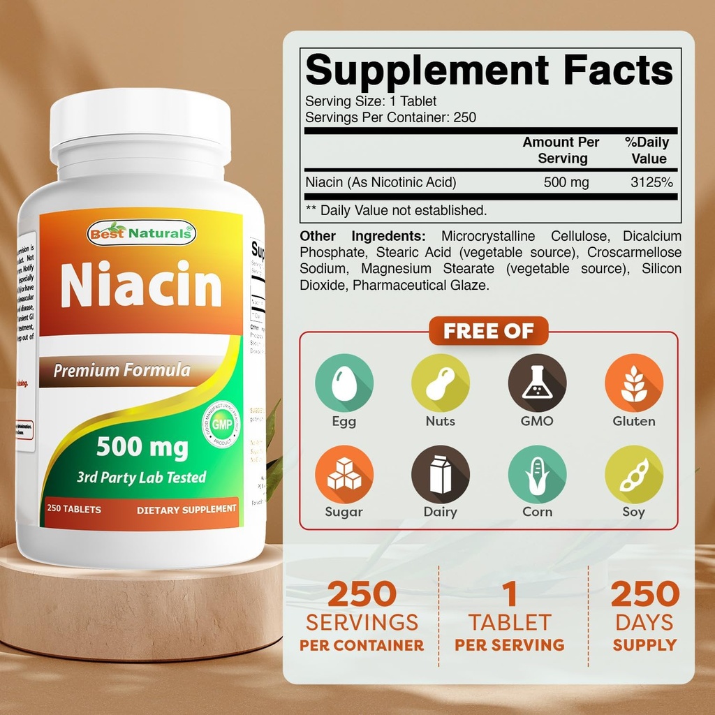Terbaik Niacin 500mg 250 Tablet dengan Flushing - Juga Disebut Vitamin B3 (250 Cacah (Paket 2))