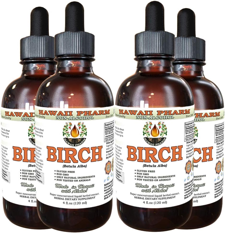 Birch Alcohol- Free Liquid Extract, Birch (Betula Alba) Dried Bark Glycerite Hawaii Pharm Natural Herbal Suplemen 4x4 oz