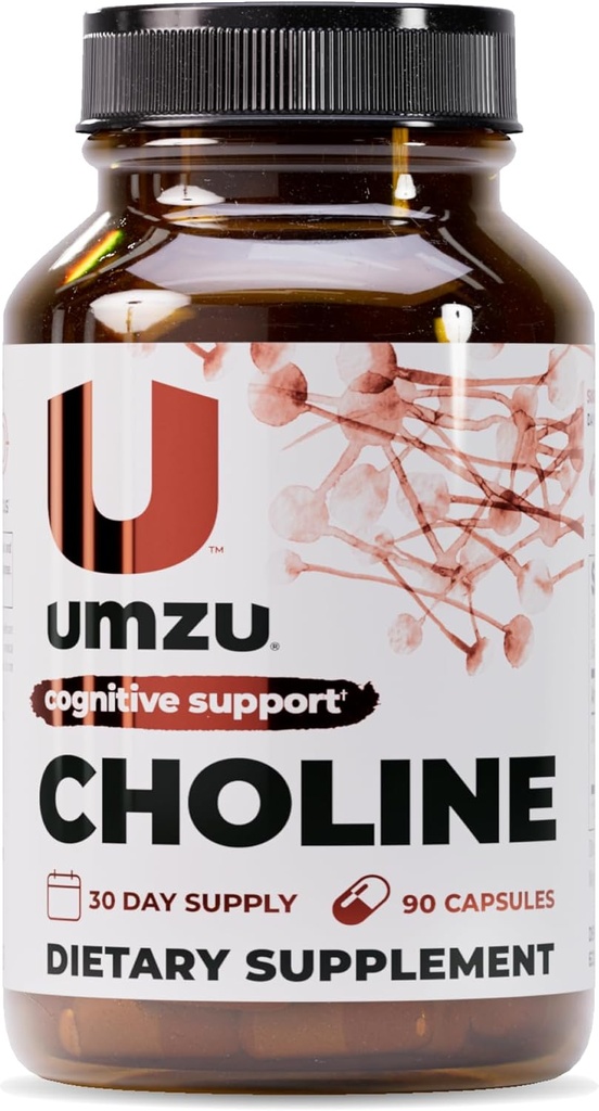 Suplemen UMZU Chooline untuk Cognitive dan Hormonal Dukungan: Acetylcholine Booster Membantu Brain, Memory & Metabolisme 126; Probut Liver Health & Estrogen Keseimbangan (30 Hari Suppply 124; 90 Capsules)