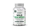 Organisasi Laut Liar Moss Capsules - 100% Massa Laut Organik dengan Chlorella Organik, Bladderwrack dan Vitamin D untuk Energi, Kesehatan Lung dan Dukungan Thyroid untuk Perempuan dan Pria - 60 Kasules
