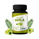 Amla 120 Tablet - USDA Organik India Gooseberry - Rich in Vitamin C & Support Immune Health *
