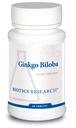 Penelitian Biotika Ginkgo Biloba Standardized 24% Ginkgo Biloba Ekstrak, Suplemen Otak, Nootropic, Fokus, Energi, Ingatan, Penuaan Sehat. 60 Talet