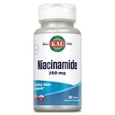 KAL Niacinamide 250mg Tablet, Vitamin B3 Suplemen untuk Skin Health, Energy Metabolism, Nerve, Circulation dan Disturtle Dukungan, Enhanced Absorestion ActivTAbs, Vegan, 100 Servis, 100 Tablet