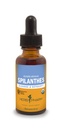 Herb Pharm Certified Organic Spalanthes Extract for Cleansing and Detoksifikasi - 1 Ounce
