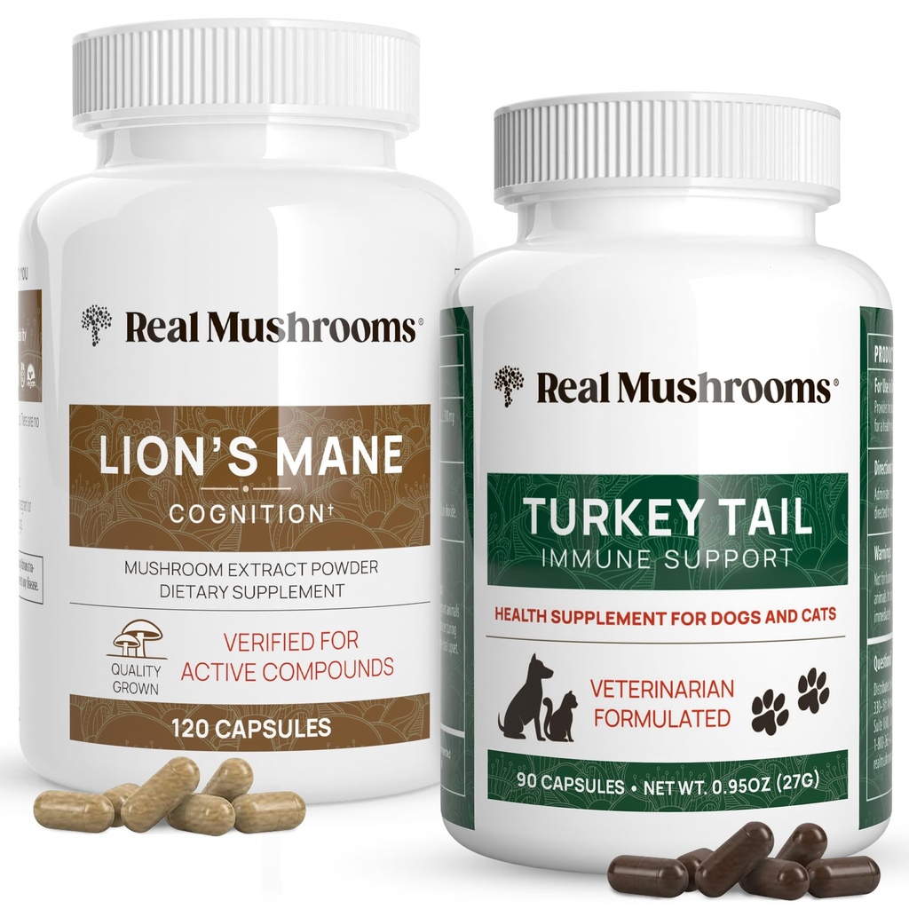 Jamur asli Lions Mane for Mane (120ct) & Turki Tail for Pets (90ct) - Bundle for Cognition and Imunity - Vegan, Non- GMO, Grain- Free, Gluten- Free Mushroom Extract Capsules