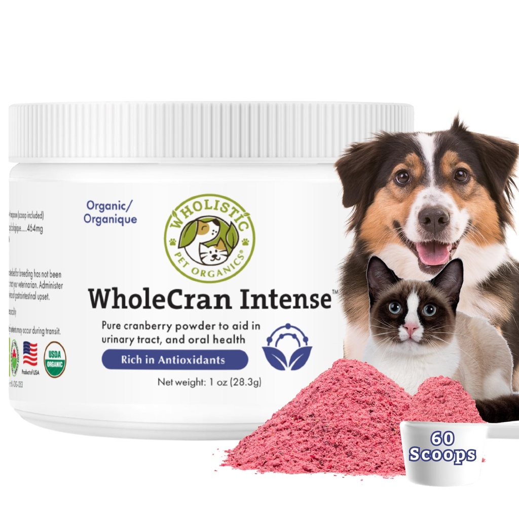 WholeCran Intense WholeCran Whoolstic Pet Organic Cranberry Powder for Dogs Urinary Tract Dukung Ginney Dukungan untuk Dogs UTI Treatment Vitamin C dan Antioksidants Dog Incontinence Product