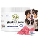 WholeCran Intense WholeCran Whoolstic Pet Organic Cranberry Powder for Dogs Urinary Tract Dukung Ginney Dukungan untuk Dogs UTI Treatment Vitamin C dan Antioksidants Dog Incontinence Product