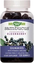 Nature 's Way Sambucus Elderberry dengan Vitamin C dan Zinc, 120 Gummi