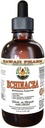 Echinacea Alcohol- Free Liquid Extract, Organic Echinacea (Echinacea Purpurea) Dry Herb Glycerite Hawaii Pharm Natural Herbal Supplemen 4 oz