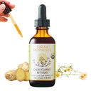 "Limbah Terpencil Tenang Tummy - Tersertifikasi Organik - Bantuan untuk Nausea & Upset Stomach *