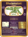 Veena Biotic Bhumi Amla Powder (Phyllanthus Niruri) Bhomi Amla Powder - Bhuiamlaki Powder - 100gma