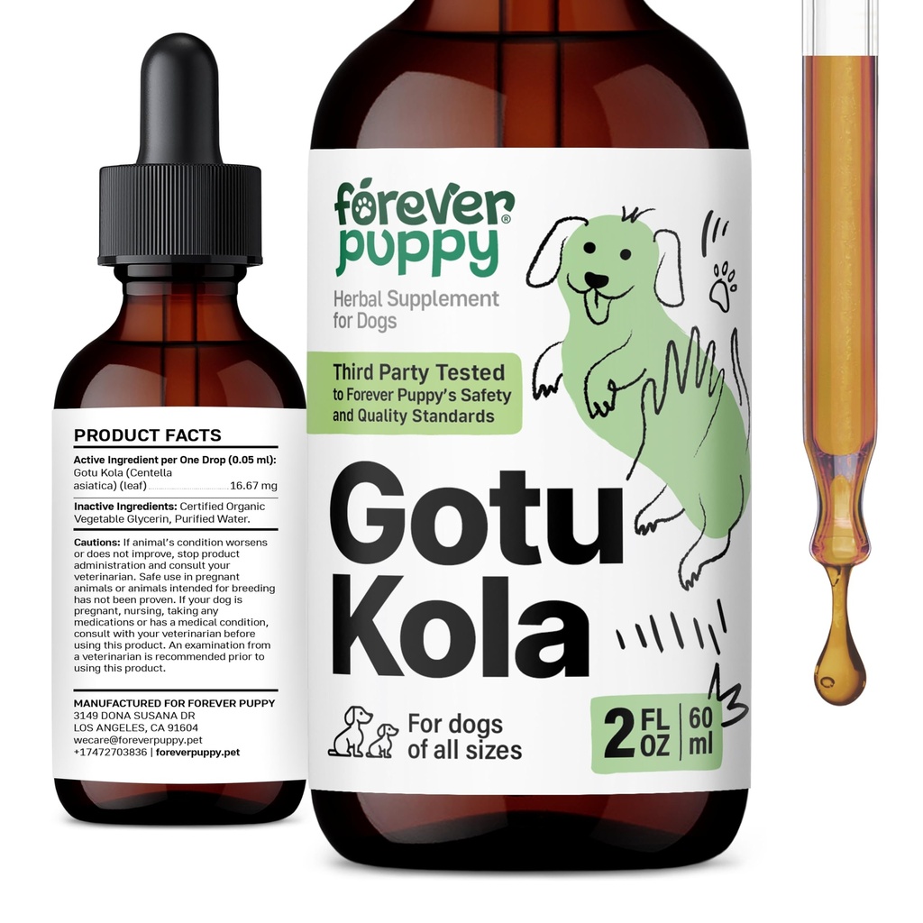 Forever Puppy Gou Kola Drops for Dogs - Centella Asiatica & Gotu Kola Extract for Brain Health Support - Liquid Brain Supplemen of All Breeds & Simes - 2 oz