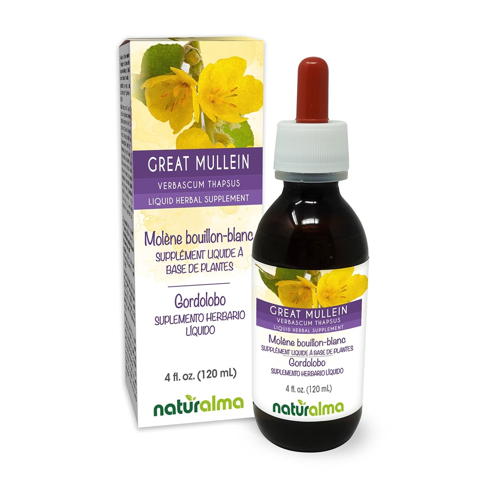 Grafalma Great Mullein atau Common Mullein (Verbascum Thapsus) Flower dan Leaf Alcohol- Free Tincture - 4 fl oz Liquid Extract in Drops - Herbal Suplemen - Vegan