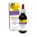 Grafalma Great Mullein atau Common Mullein (Verbascum Thapsus) Flower dan Leaf Alcohol- Free Tincture - 4 fl oz Liquid Extract in Drops - Herbal Suplemen - Vegan